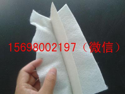 國標(biāo)復(fù)合土工膜價(jià)格